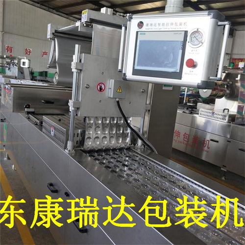 山東康瑞達 多圖 糯米藕片拉伸膜真空包裝機廠家